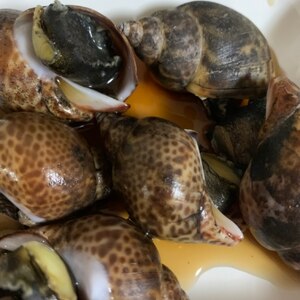 簡単 ばい貝の酒蒸し レシピ 作り方 By Necomanma 楽天レシピ 簡単 ばい貝の酒蒸し レシピ 作り方 By Necomanma 楽天レシピ